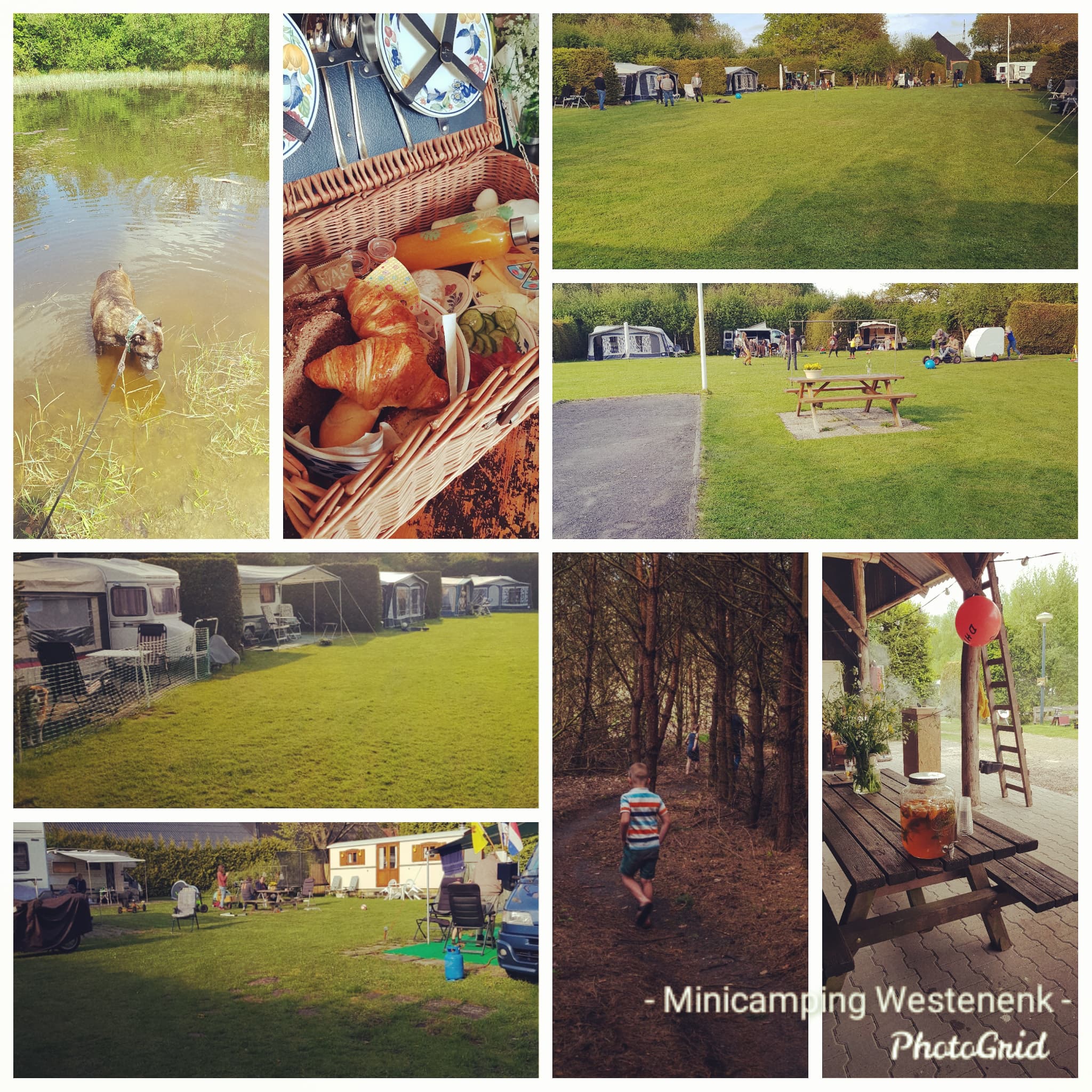 Minicamping Westenenk