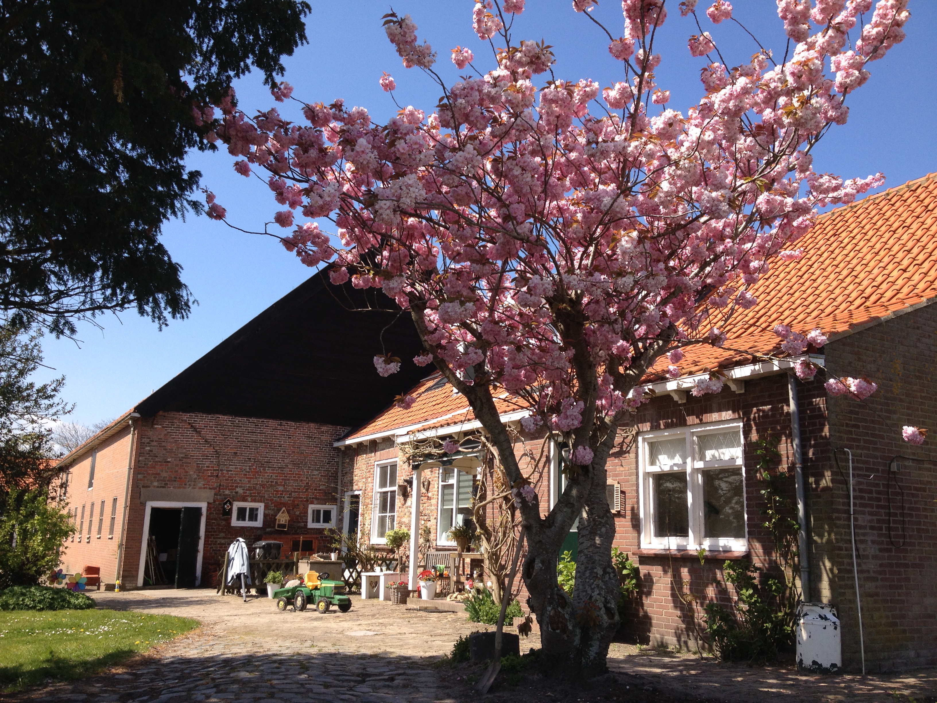 Minicamping Westerwijk