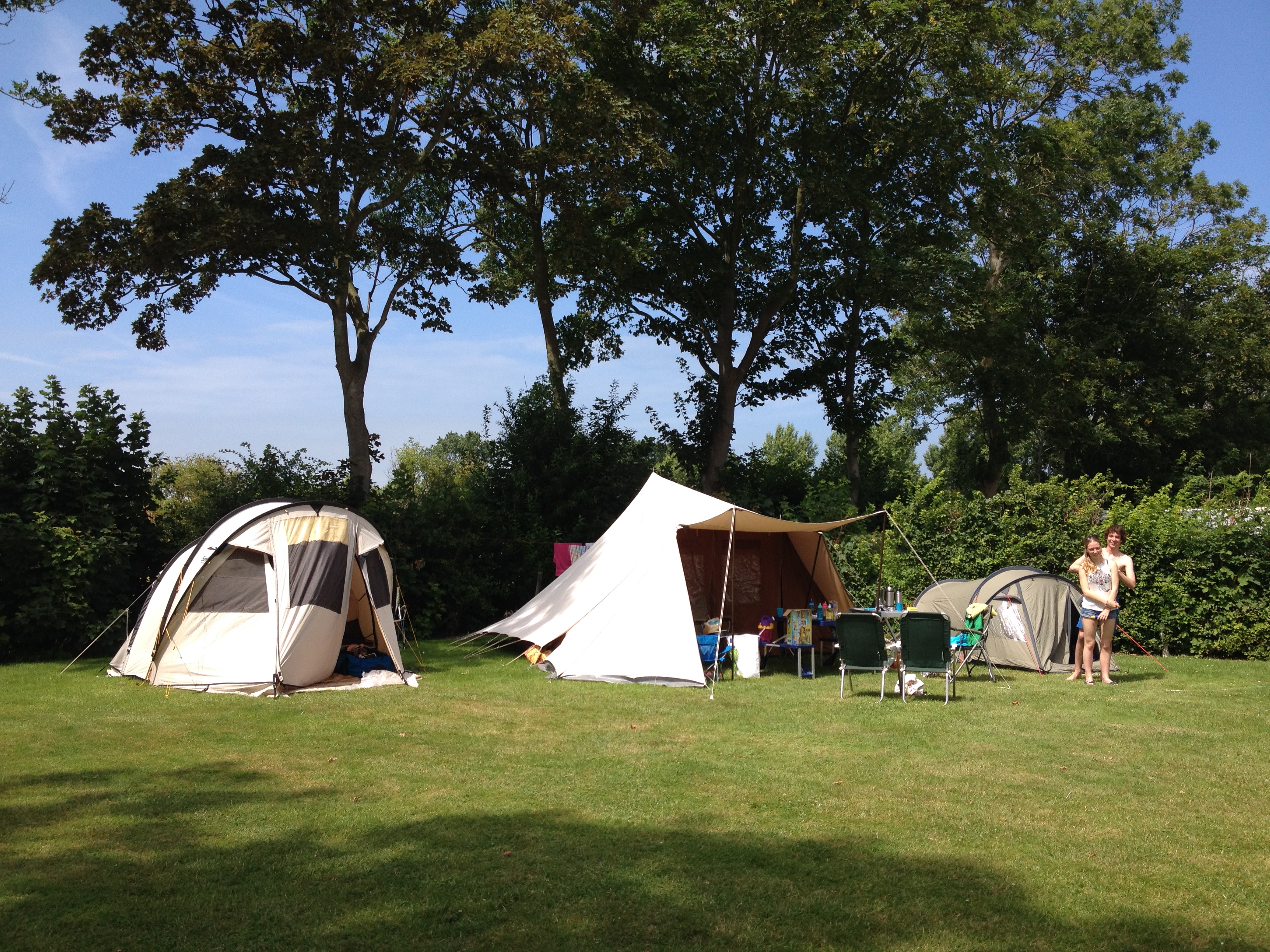 Minicamping Westerwijk