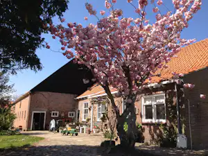 Minicamping Westerwijk