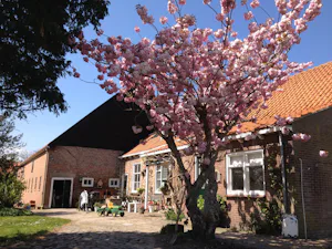 Minicamping Westerwijk