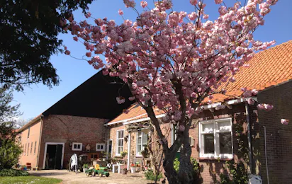 Minicamping Westerwijk