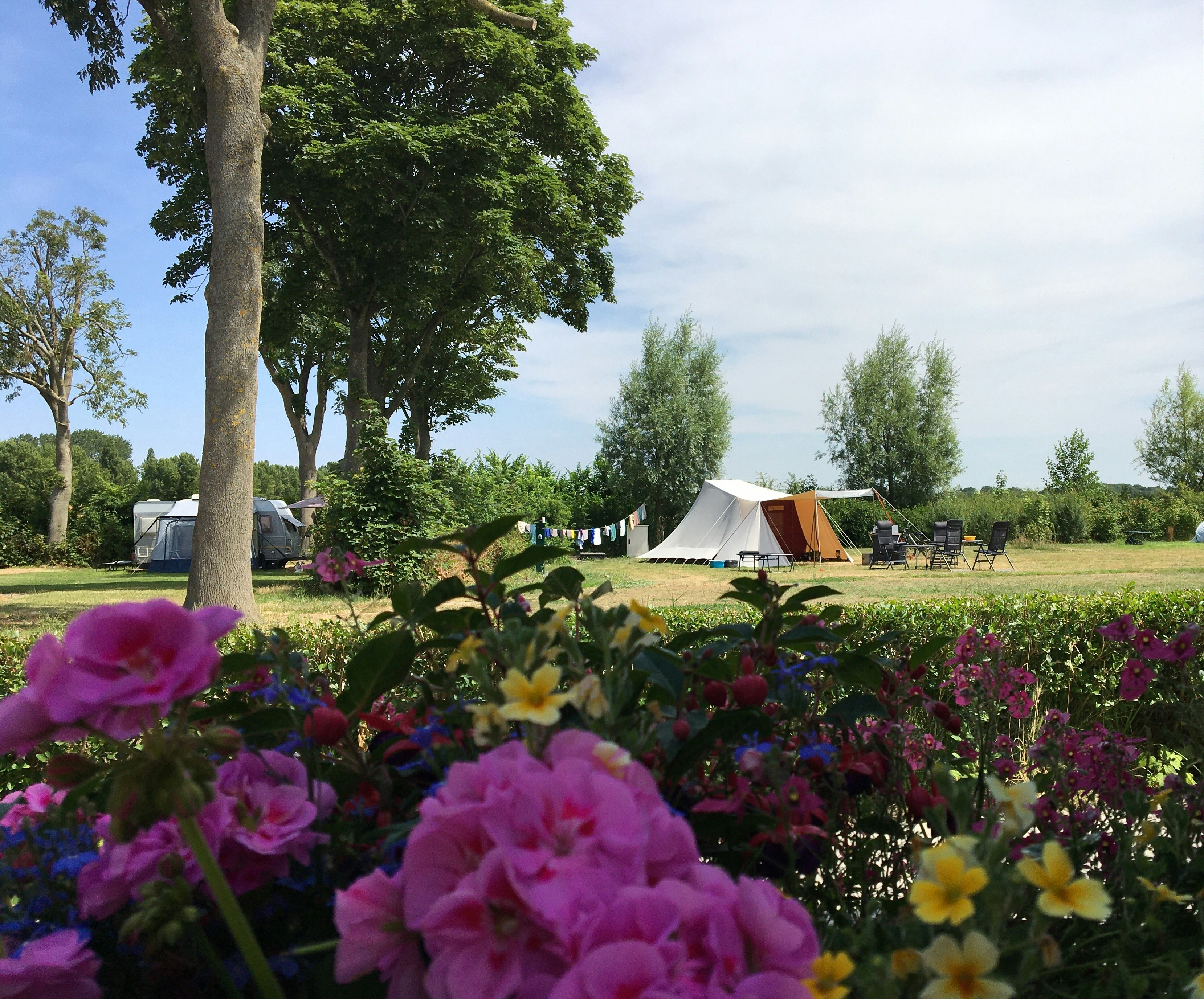 Minicamping Westerwijk