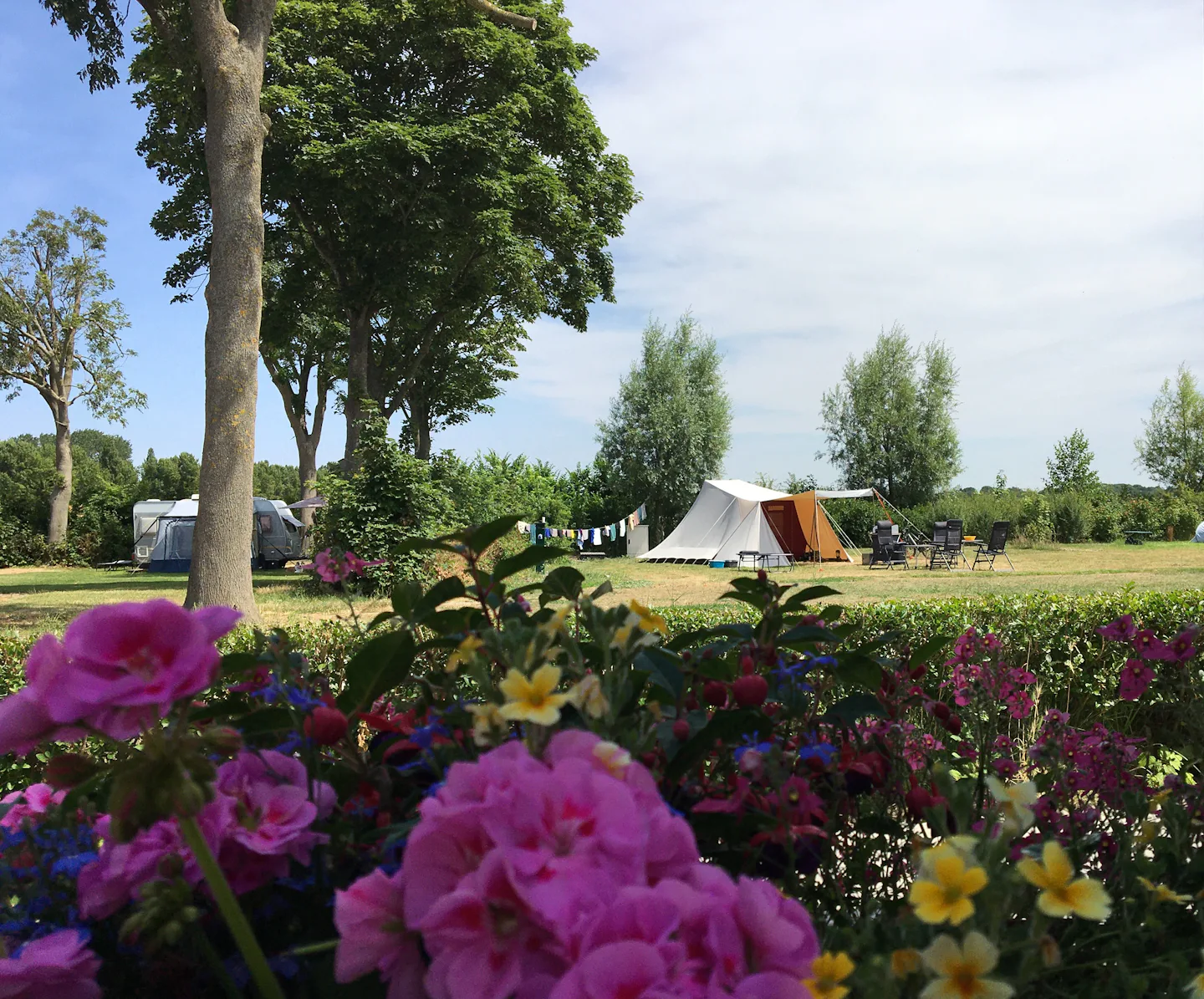 Minicamping Westerwijk