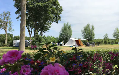 Minicamping Westerwijk