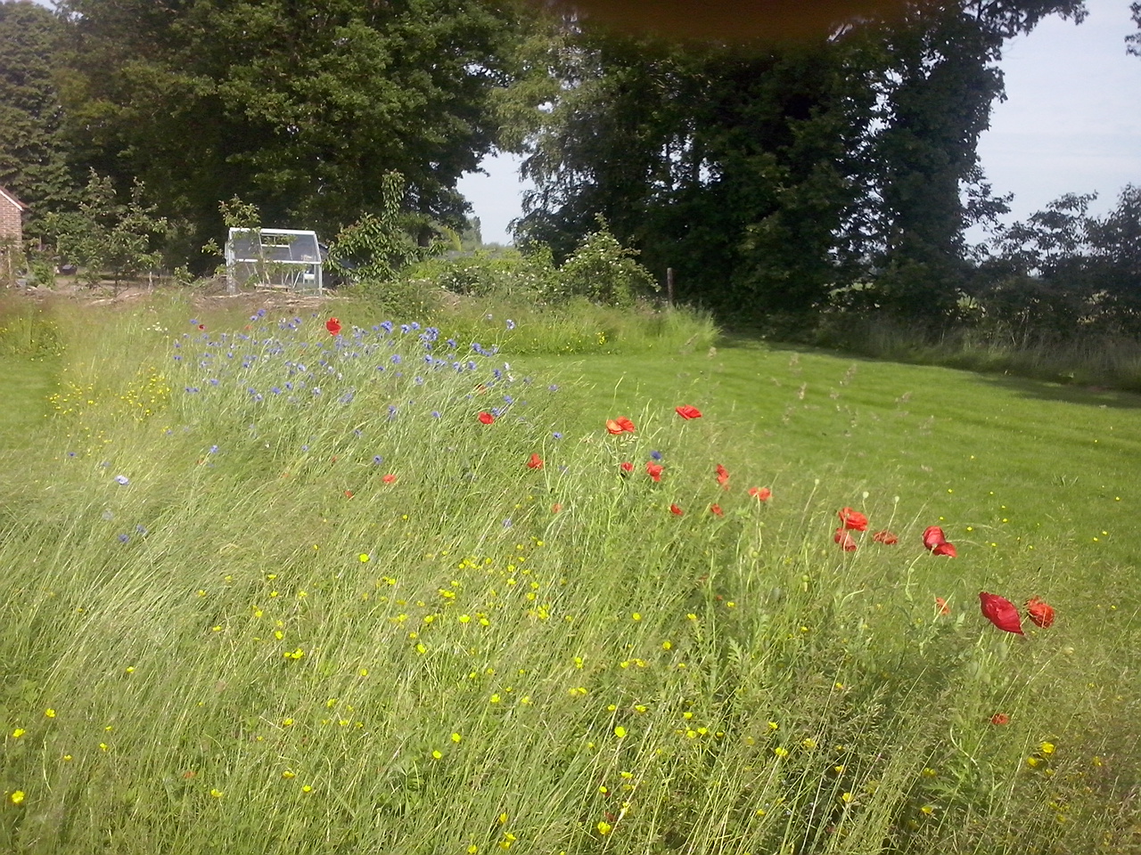 Minicamping Zorg-en-Vrij