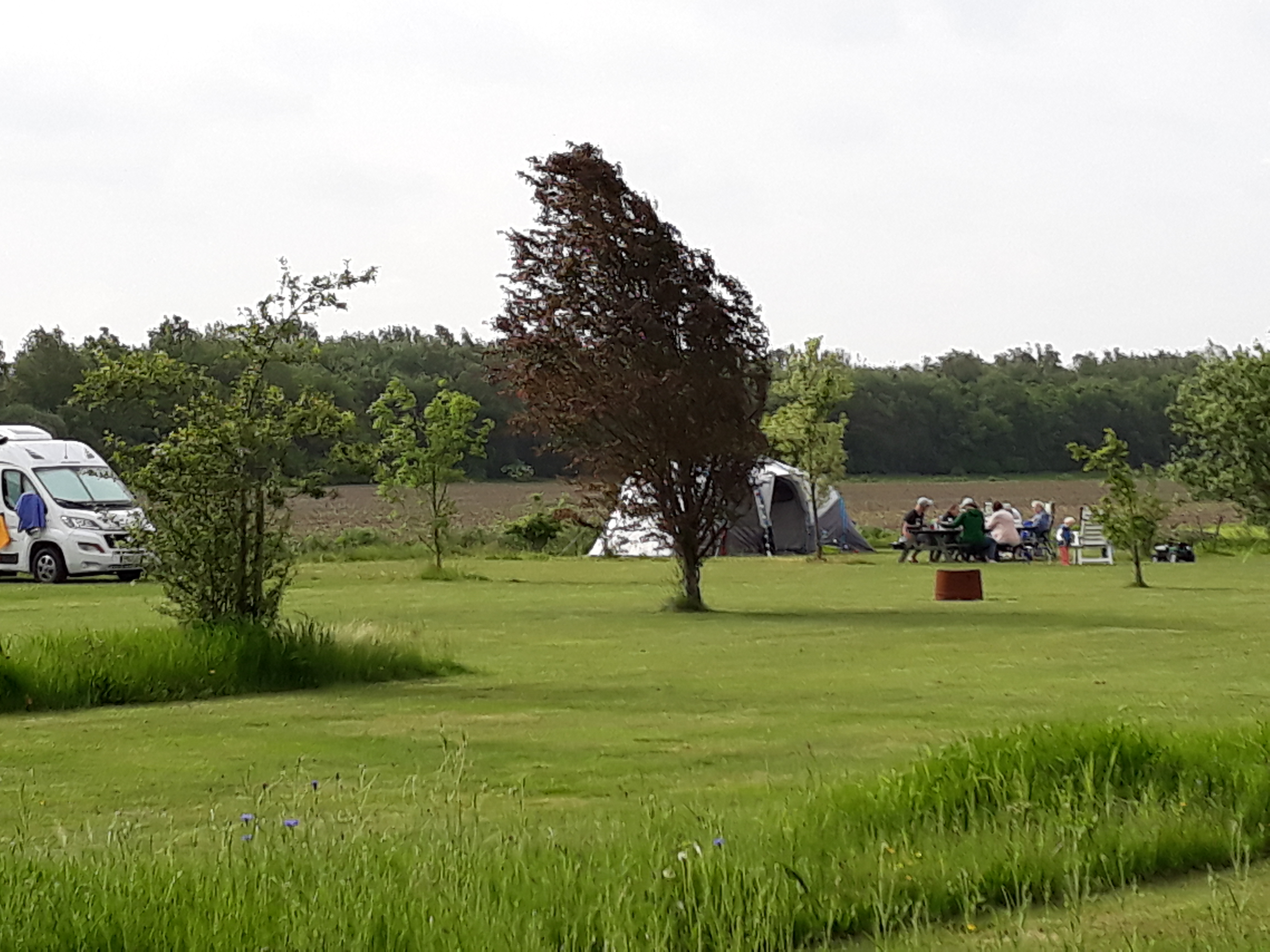 Campingwiese mit Zelt, Wohnmobil und mehreren Personen an einem Picknicktisch, umgeben von Bäumen und Grünfläche.