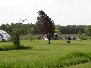 Campingwiese mit Zelt, Wohnmobil und mehreren Personen an einem Picknicktisch, umgeben von Bäumen und Grünfläche.