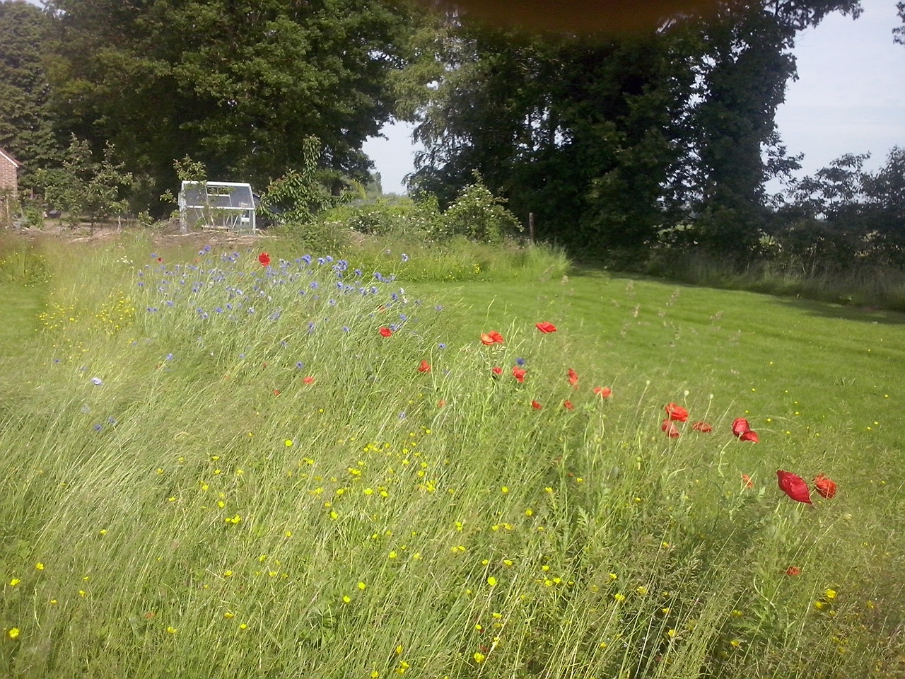 Minicamping Zorg-en-Vrij