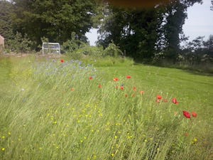 Minicamping Zorg-en-Vrij