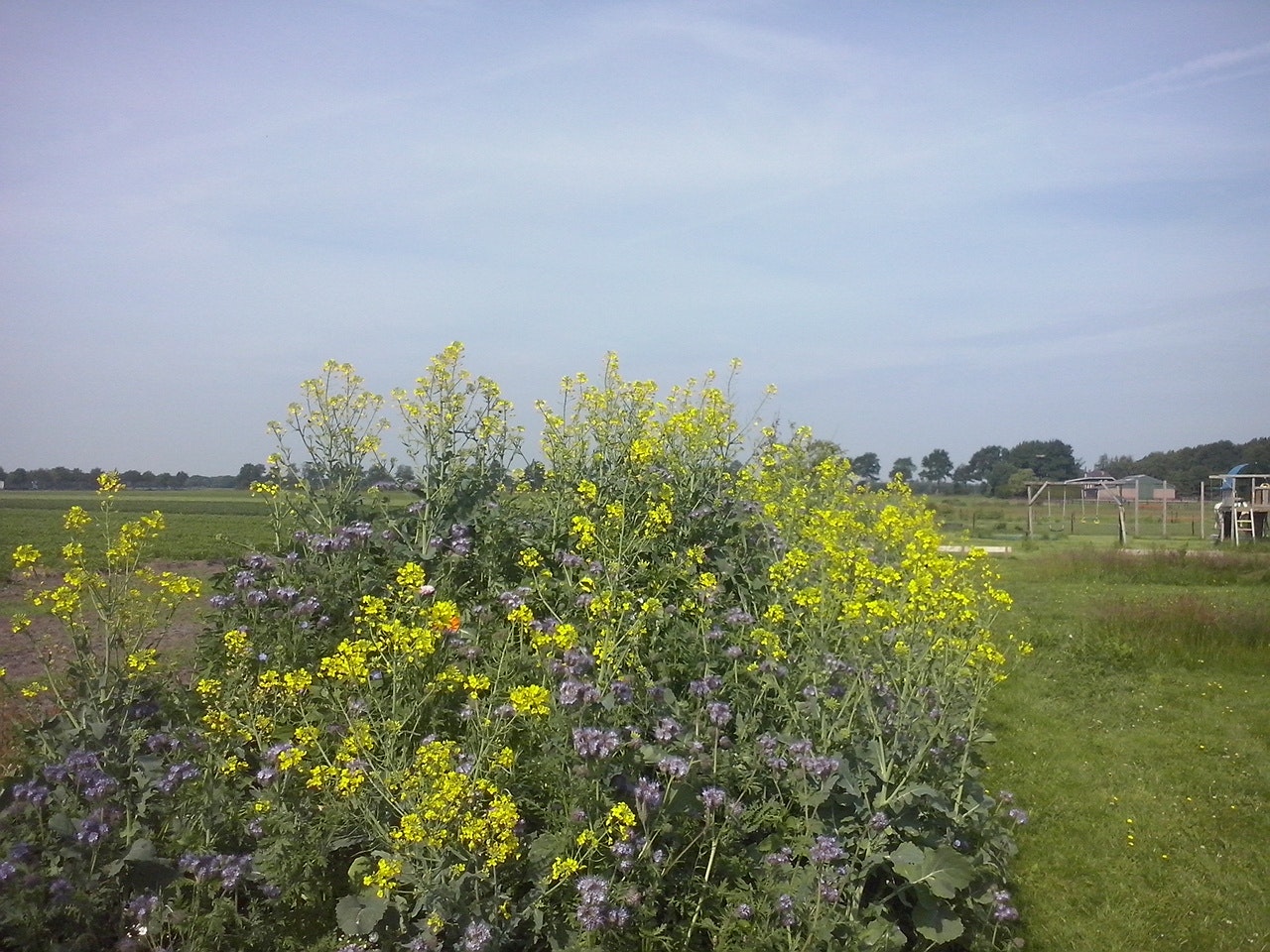 Minicamping Zorg-en-Vrij