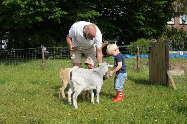 Minicamping Zorg-en-Vrij