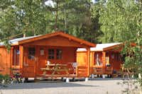 Møllers Dueodde Camping  -  Mobilheime vom Campingplatz mit Veranda zwischen Bäumen