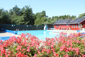 Campingpool mit blauen Bahnen, roten Gebäuden und Liegen, im Vordergrund pinke Blumen und dahinter Bäume.