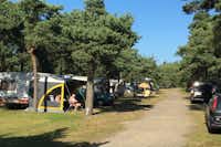 Møllers Dueodde Camping  -  Stellplatz vom Campingplatz auf grüner Wiese