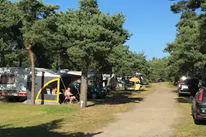 Campingplatz mit Zelt und Wohnwagen, Autos am Weg, Tische und Stühle unter Bäumen im Grünen.
