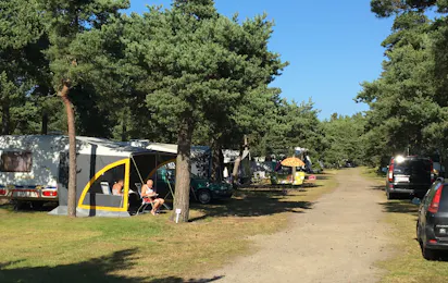 Møllers Dueodde Camping