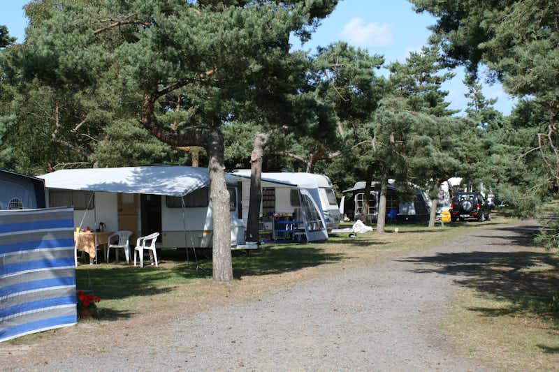 Møllers Dueodde Camping  -  Wohnwagen- und Zeltstellplatz vom Campingplatz im Grünen