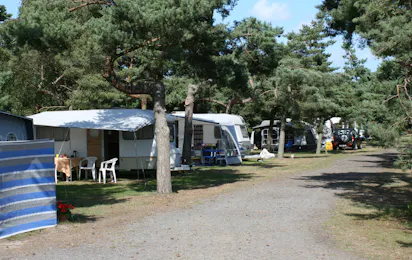 Møllers Dueodde Camping