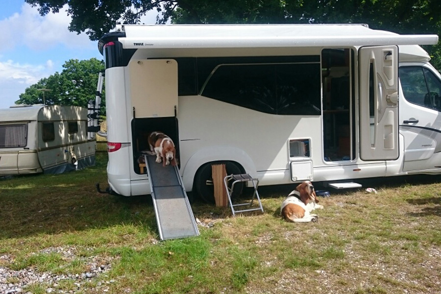 Møn Strandcamping - Ulvshale