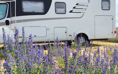 Møn Strandcamping - Ulvshale