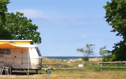 Møn Strandcamping - Ulvshale