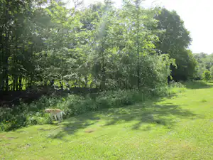 Modrá Farma