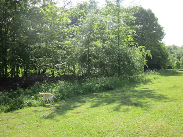 Modrá Farma