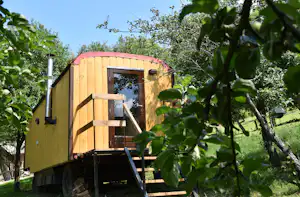 Holzhütte auf Stelzen im grünen Garten, umgeben von Bäumen und Sträuchern, mit Eingang und Treppe.