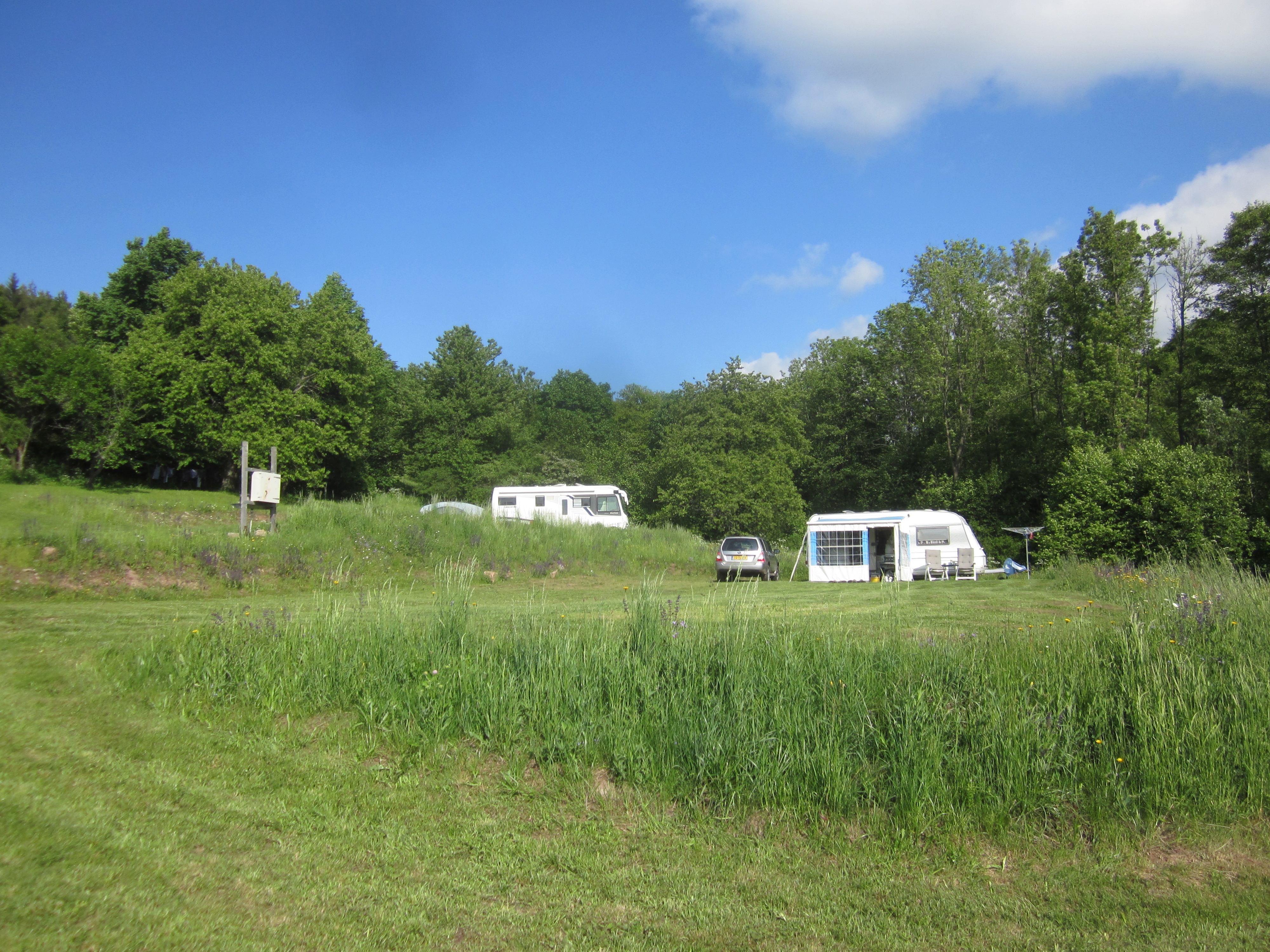 Mehrere Wohnwagen und ein Wohnmobil stehen auf einer grünen Wiese am Campingplatz, umgeben von Bäumen.