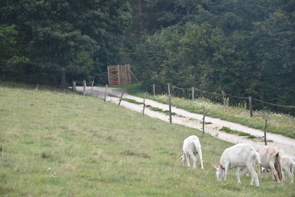 Modrá Farma
