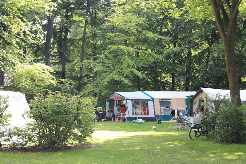 Molecaten Park Bosbad Hoeven  -  Stellplatz vom Campingplatz zwischen Bäumen