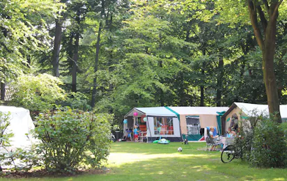 Molecaten Park Bosbad Hoeven