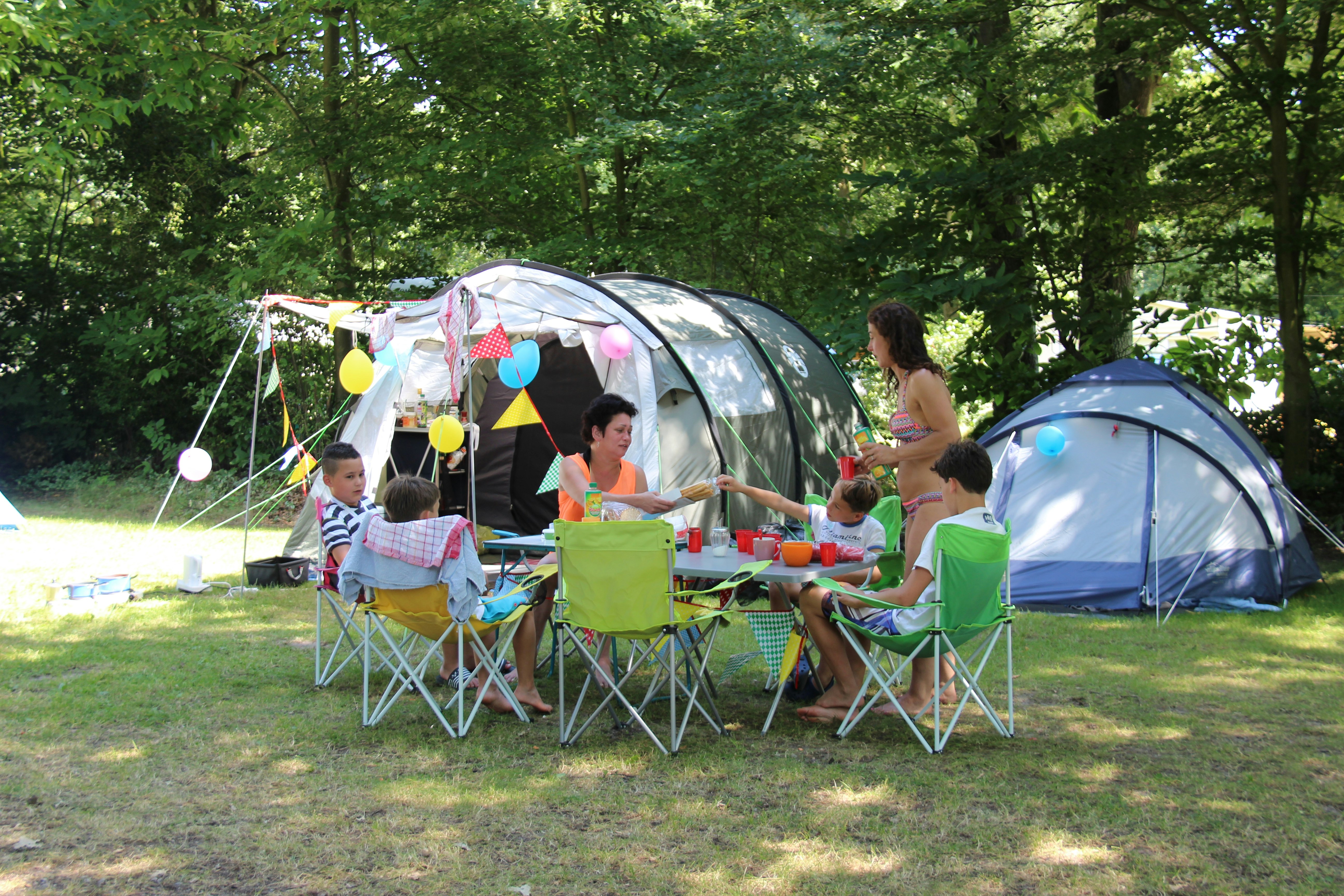 Molecaten Park Bosbad Hoeven  - Camper auf dem Zeltplatz vom Campingplatz auf grüner Wiese