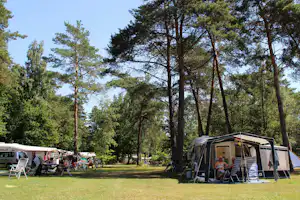Zelt mit Vorzelt und Campingstühlen auf einer Wiese, umgeben von hohen Bäumen und weiteren Fahrzeugen am Campingplatz.