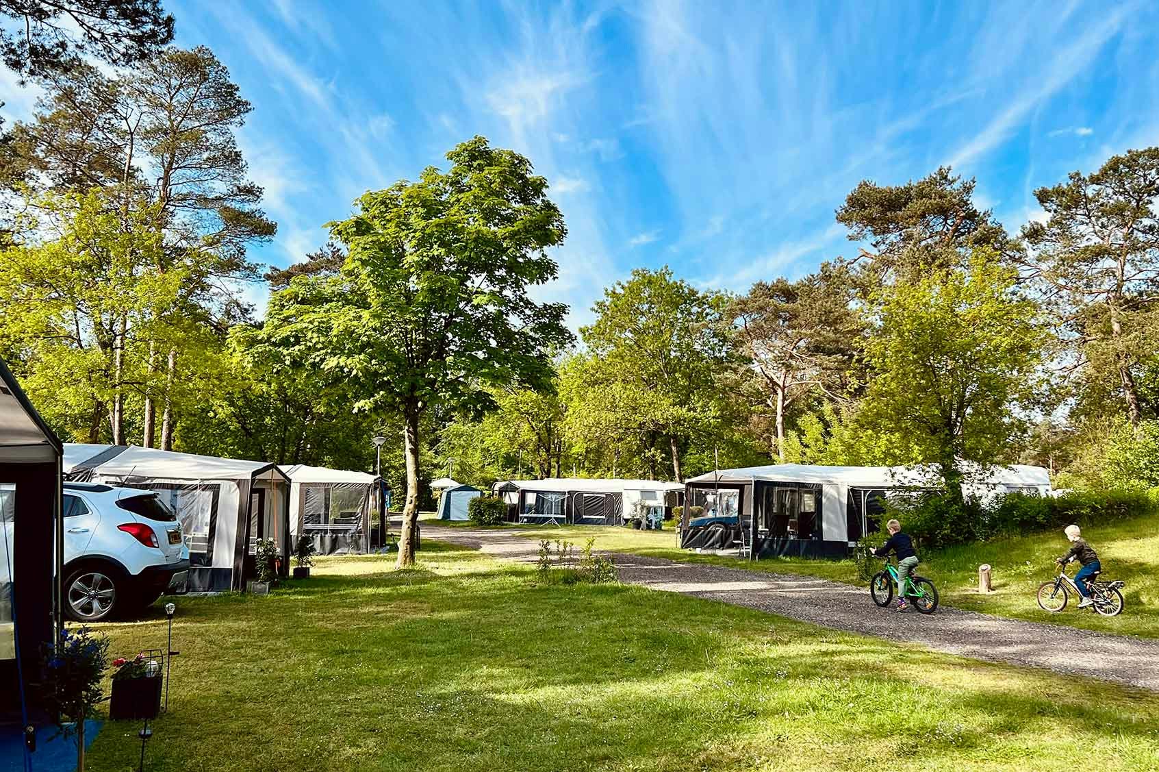 Campingstellplätze mit Wohnwagen und Zelten, dazwischen ein Kiesweg und Rasenfläche, umgeben von Bäumen und blauem Himmel.