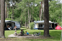 Molecaten Park De Leemkule  -  Wohnwagen- und Zeltstellplatz vom Campingplatz auf grüner Wiese