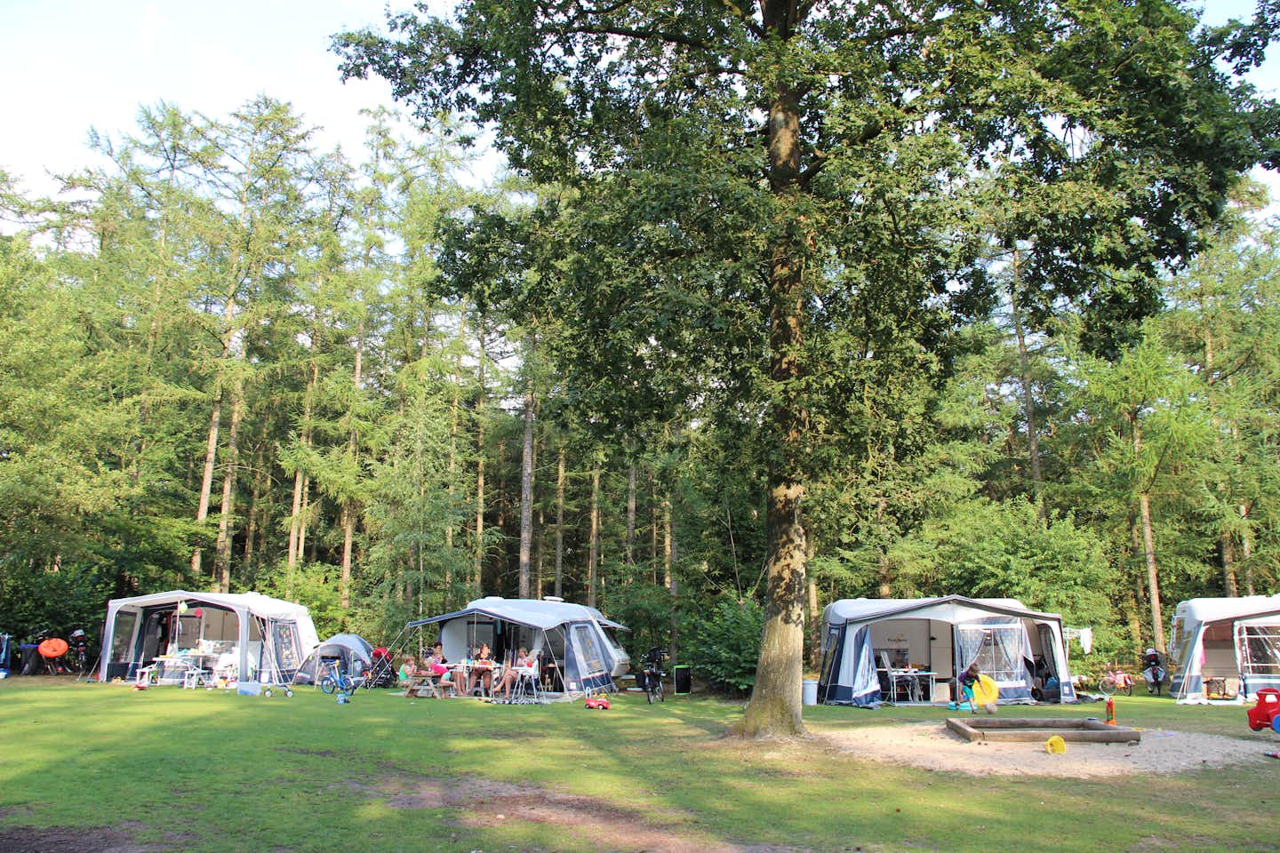 Molecaten Park De Leemkule  -  Wohnwagen auf dem Stellplatz vom Campingplatz an einem Waldstück