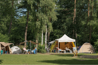 Molecaten Park De Leemkule  - Zelte auf dem Stellplatz vom Campingplatz im Grünen
