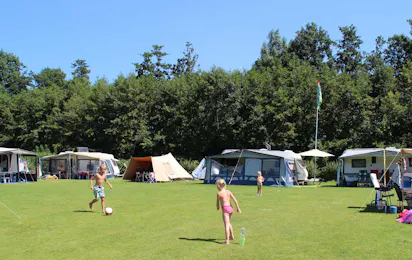 Molecaten Park Flevostrand