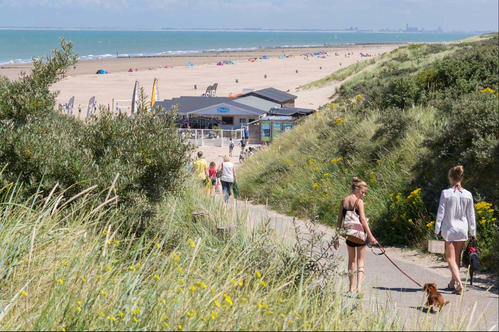Molecaten Park Hoogduin  -  Camper auf dem Weg zum Strand am Campingplatz