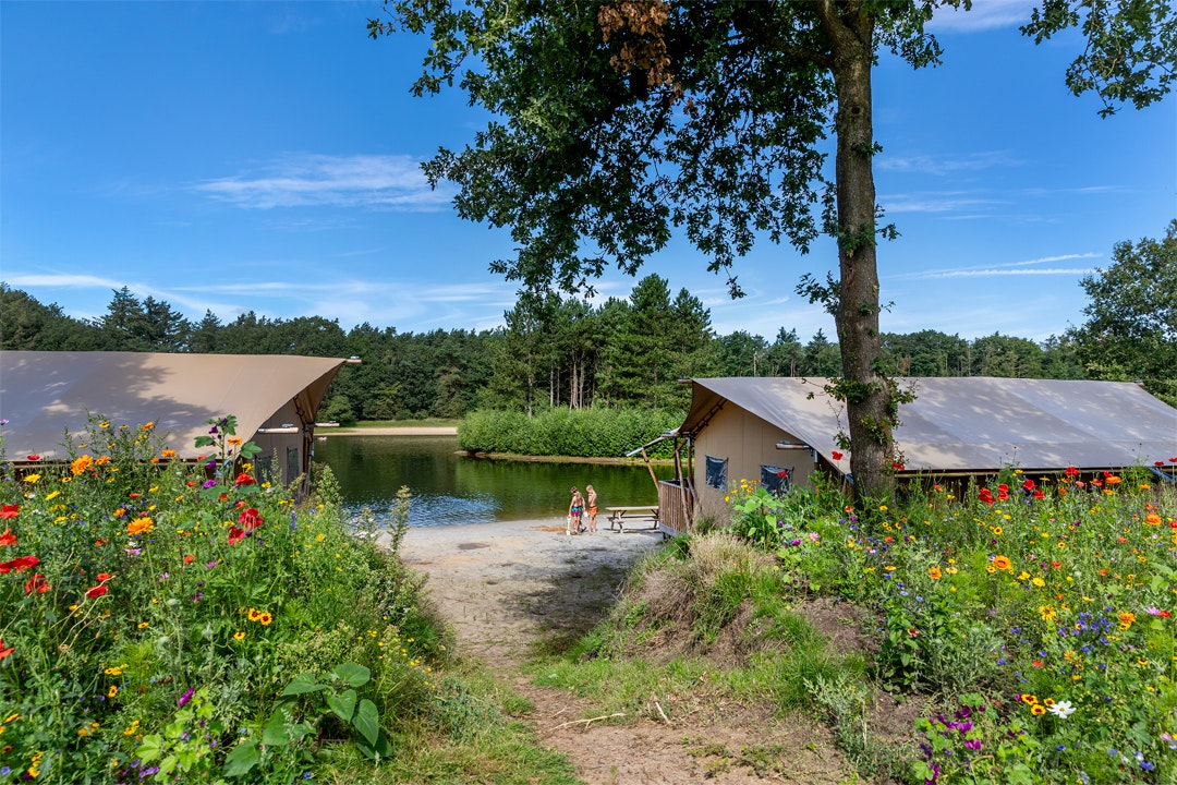 Molecaten Park Kuierpad