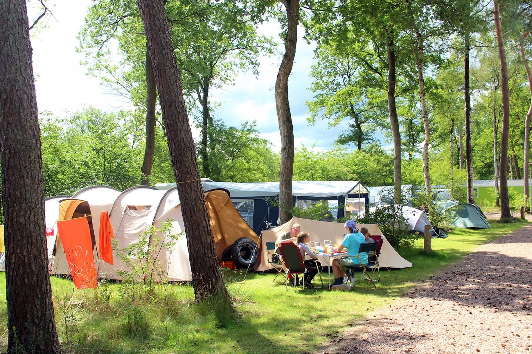Molecaten Park Kuierpad - Standplätze zwischen den Bäumen