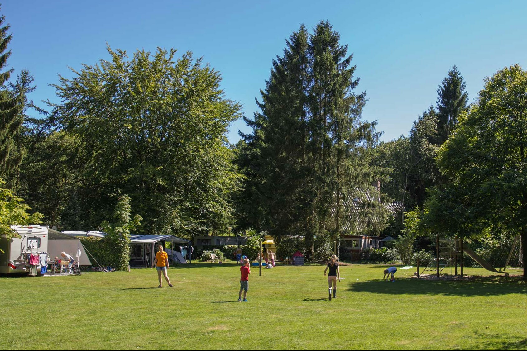 Molecaten Park Landgoed Molecaten  - Grüne Wiese auf dem Wohnwagen- und Zeltstellplatz vom Campingplatz