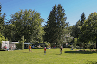 Molecaten Park Landgoed Molecaten  - Grüne Wiese auf dem Wohnwagen- und Zeltstellplatz vom Campingplatz
