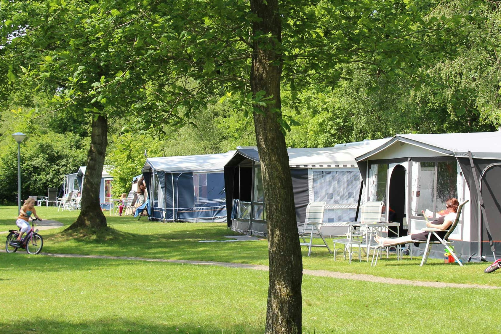 Molecaten Park 't Hout  -  Camper auf dem Wohnwagen- und Zeltstellplatz vom Campingplatz im Grünen