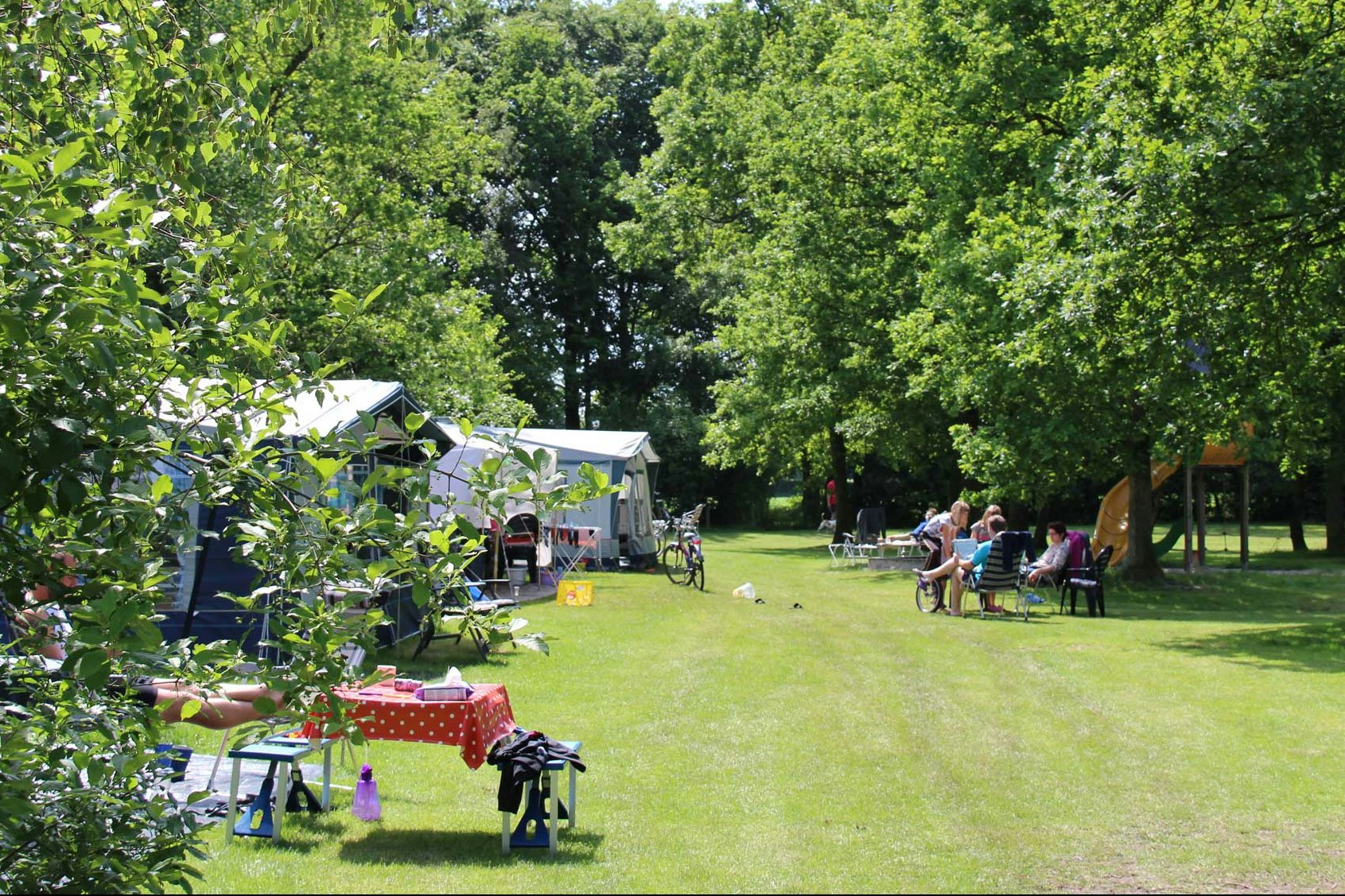 Molecaten Park 't Hout  - Camper an den Wohnwagen und Wohnmobilen auf dem Campingplatz zwischen Bäumen