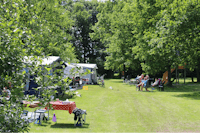 Molecaten Park 't Hout  - Camper an den Wohnwagen und Wohnmobilen auf dem Campingplatz zwischen Bäumen