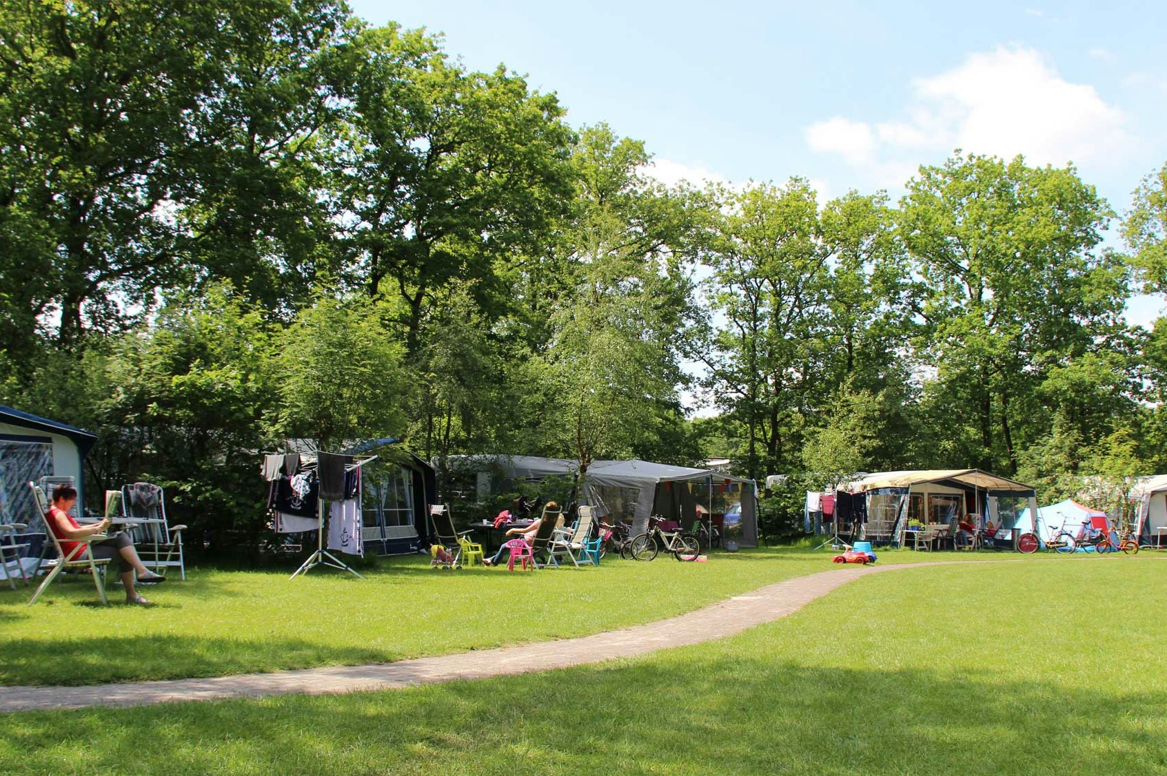 Molecaten Park 't Hout - Standplatzwiese auf dem Campingplatz