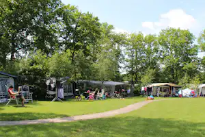 Campingplatz mit mehreren Zelten auf Stellplätzen im Grünen, Liegestühle und Fahrräder am Rand, Weg durch die Wiese.